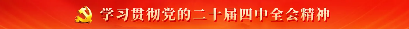 专题Banner
